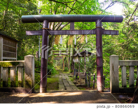 山間の参道に幾重にも連なる鳥居 (湯神社、弥彦村、新潟県) 山間の参道に幾重にも連なる鳥居 (湯神社、弥彦村、新潟県) 80866069
