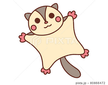 モモンガのイラスト素材