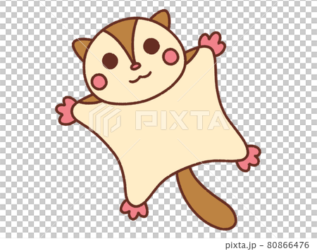 Flying squirrel_3 80866476