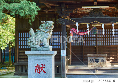 埼玉県草加市 女体神社 埼玉県草加市 女体神社 80866616