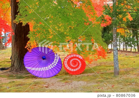 日本伝統の和傘 80867036