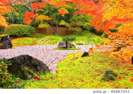 紅葉の日本庭園 紅葉の日本庭園 80867042