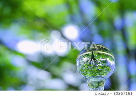 涼感・真夏の森のレンズボール10 80867161