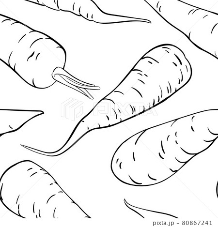 carrot vector set on white background carrot vector set on white background 80867241