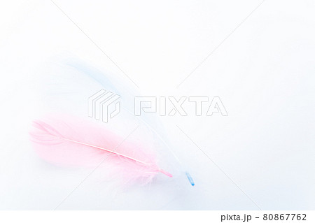 ピンクの羽根と青い羽根 80867762