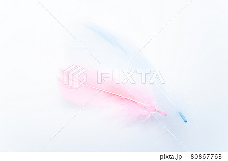 ピンクの羽根と青い羽根 80867763