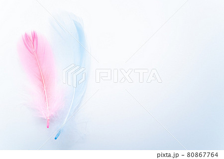 ピンクの羽根と青い羽根 80867764