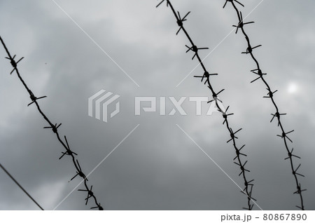 Close-up of barbed wire on gray clouds background. 80867890