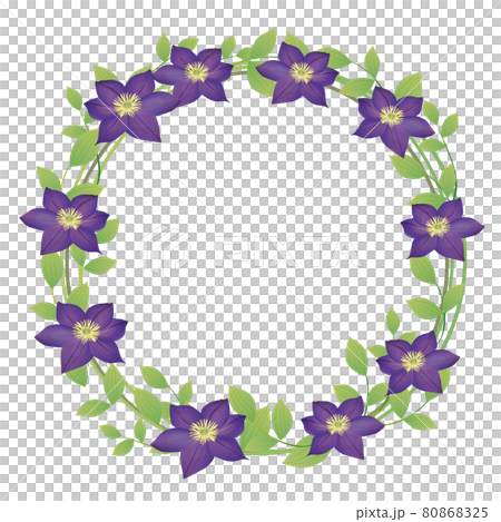 鐵線蓮花卉圖框 80868325