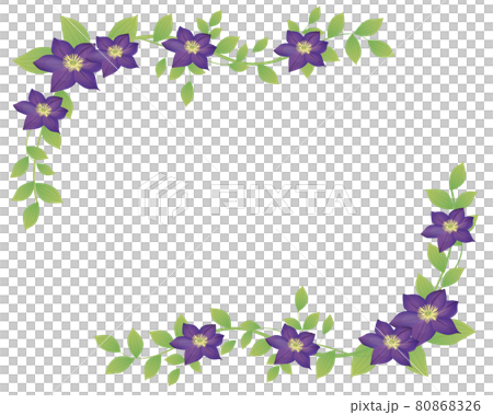 鐵線蓮花卉圖框 鐵線蓮花卉圖框 80868326