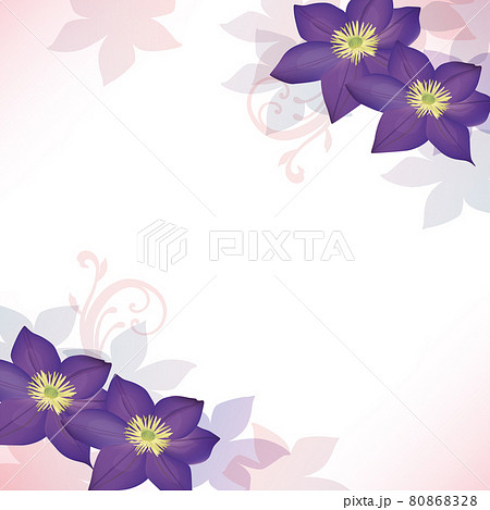 クレマチスの花のイラスト背景のイラスト素材