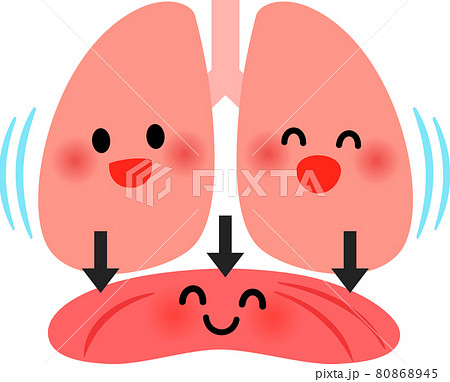 吸気時の横隔膜と肺のキャラクターのイラスト素材