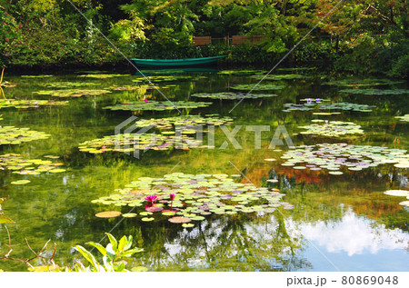 北川村のモネの水の庭の睡蓮 北川村のモネの水の庭の睡蓮 80869048