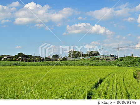 鉄道 JR東日本:東北本線 (宇都宮線) E231系 鉄道 JR東日本:東北本線 (宇都宮線) E231系 80869148