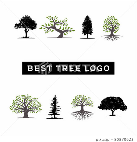 Best tree logo collections set for company logo or branding 80870623