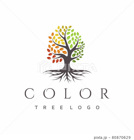 Vibrant tree logo design, root vector. Tree of life logo design inspiration 80870629