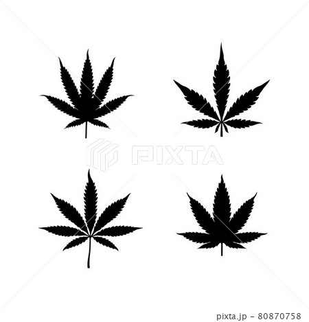 Silhouette cbd cannabis marijuana hemp leaf logo design 80870758