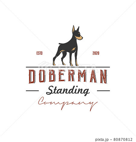 Silhouette of a standing doberman dog with retro vintage style logo design 80870812
