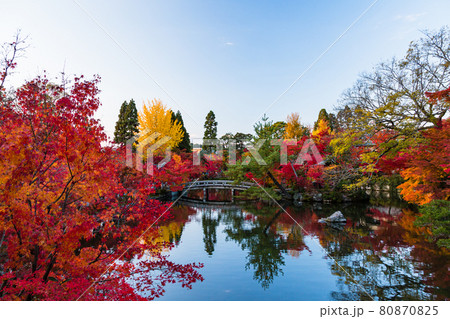 京都　永観堂の放生池と紅葉 80870825