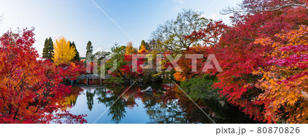 京都　永観堂の放生池と紅葉 80870826