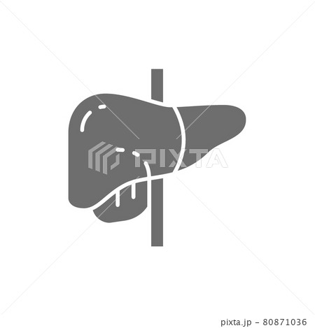 Liver, human organ grey icon. Isolated on white background 80871036