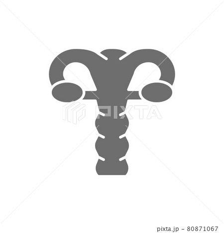 Uterus, cervix, ovaries, vagina, human organ grey icon. Uterus, cervix, ovaries, vagina, human organ grey icon. 80871067
