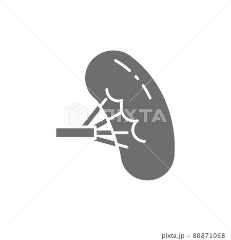 Spleen, human organ grey icon. Isolated on white background Spleen, human organ grey icon. Isolated on white background 80871068