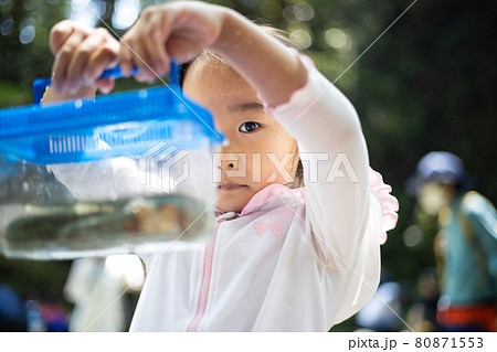 川遊びを楽しむ女の子 川遊びを楽しむ女の子 80871553