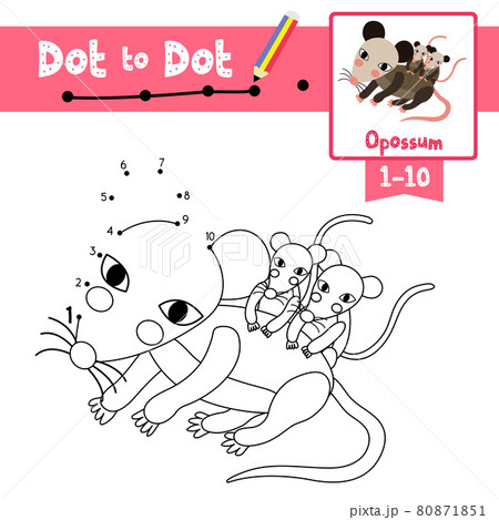 Dot to dot educational game and Coloring book Mother and baby Opossum animal cartoon character vector illustration Dot to dot educational game and Coloring book Mother and baby Opossum animal cartoon character vector illustration 80871851