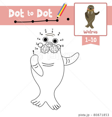 Dot to dot educational game and Coloring book Happy Walrus animal cartoon character vector illustration Dot to dot educational game and Coloring book Happy Walrus animal cartoon character vector illustration 80871853