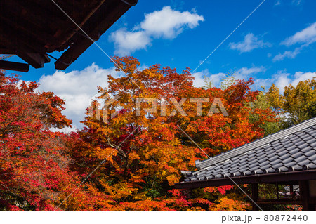 京都 源光庵の紅葉 京都 源光庵の紅葉 80872440