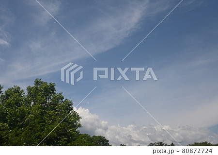 初夏の青空 初夏の青空 80872724