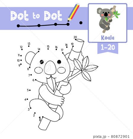 Dot to dot educational game and Coloring book Koala bear animal cartoon character vector illustration Dot to dot educational game and Coloring book Koala bear animal cartoon character vector illustration 80872901