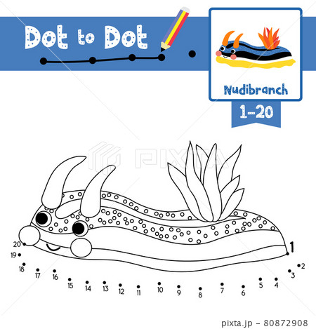 Dot to dot educational game and Coloring book Colorful Nudibranch animal cartoon character vector illustration 80872908