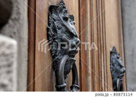 フィレンツェ散策 フィレンツェ散策 80873114