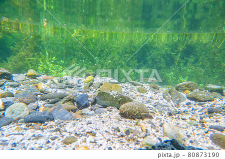 【夏素材】水辺と水中素材【長野県】 【夏素材】水辺と水中素材【長野県】 80873190