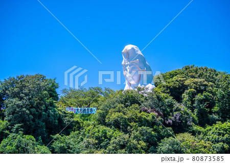 日本の鎌倉都市景観　大船観音などを望む 80873585