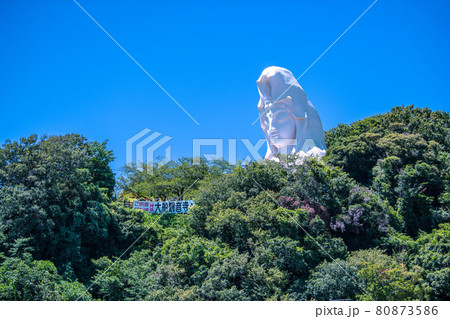 日本の鎌倉都市景観 大船観音などを望む 日本の鎌倉都市景観 大船観音などを望む 80873586
