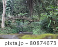 木 ツリー 樹 80874673