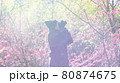 花 フラワー お花 80874675