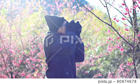 花 フラワー お花 80874678