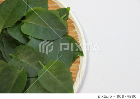 スーパー野菜　雲南百薬（オカワカメ） 80874880