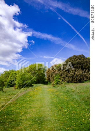 South Downs Way National Trail near Eastbourne Sussex South East England UK 80875180
