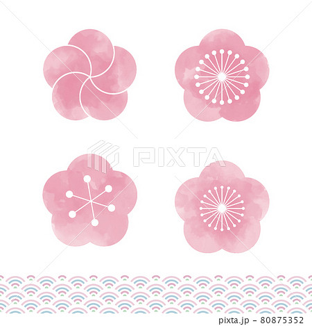 日本の梅と桜の花のセット 縁起の良い和柄のパターン 白い背景に水彩画のベクターイラスト のイラスト素材