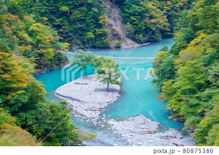 夢の吊り橋 80875386