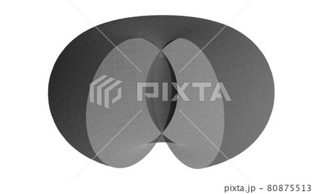 スピンドルトーラスの内部 80875513