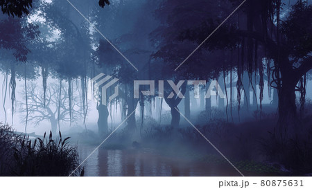 Mysterious night forest with spooky trees on river Mysterious night forest with spooky trees on river 80875631