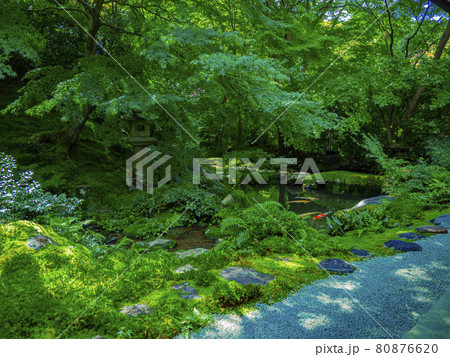 京と新緑 京と新緑 80876620