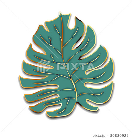 Cute green palm leaf with golden outline silhouette on white Cute green palm leaf with golden outline silhouette on white 80880925