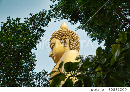 Giant golden buddha statue of Dhammakaya Thep Mongkol Buddha in construction site located at Wat Paknam Bhasicharoen temple Giant golden buddha statue of Dhammakaya Thep Mongkol Buddha in construction site located at Wat Paknam Bhasicharoen temple 80881200